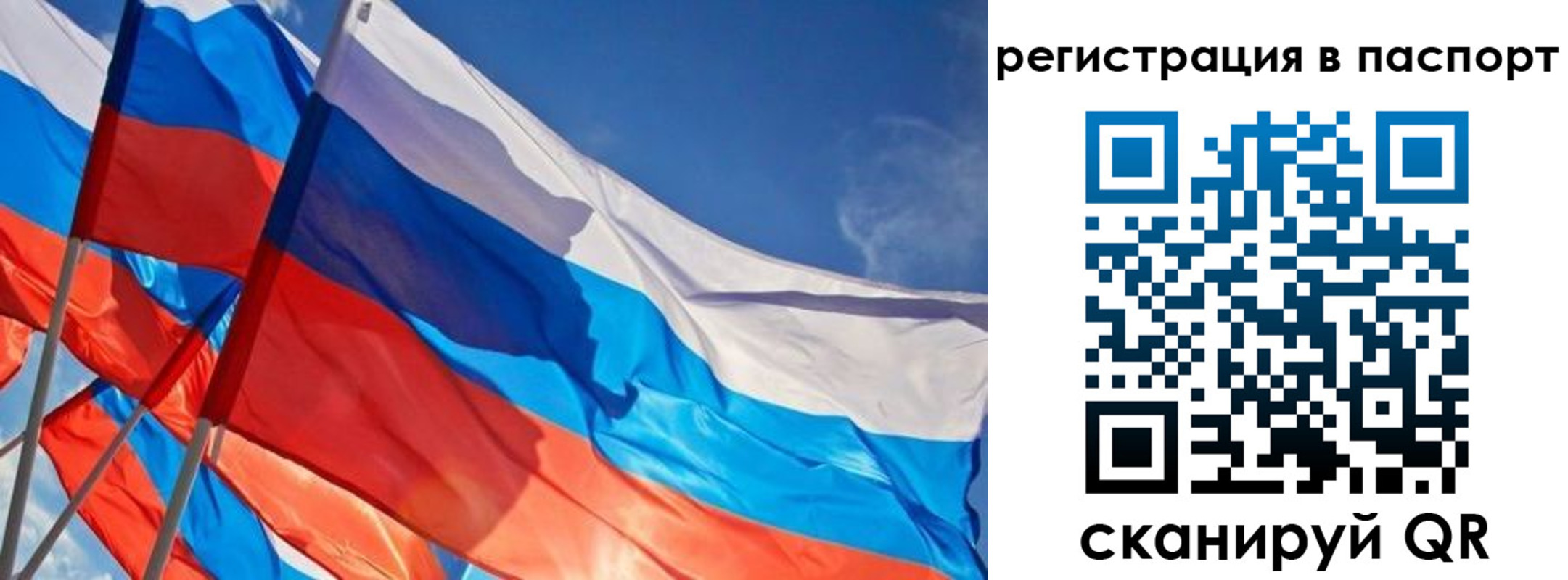 прописка поиск в Краснодаре
